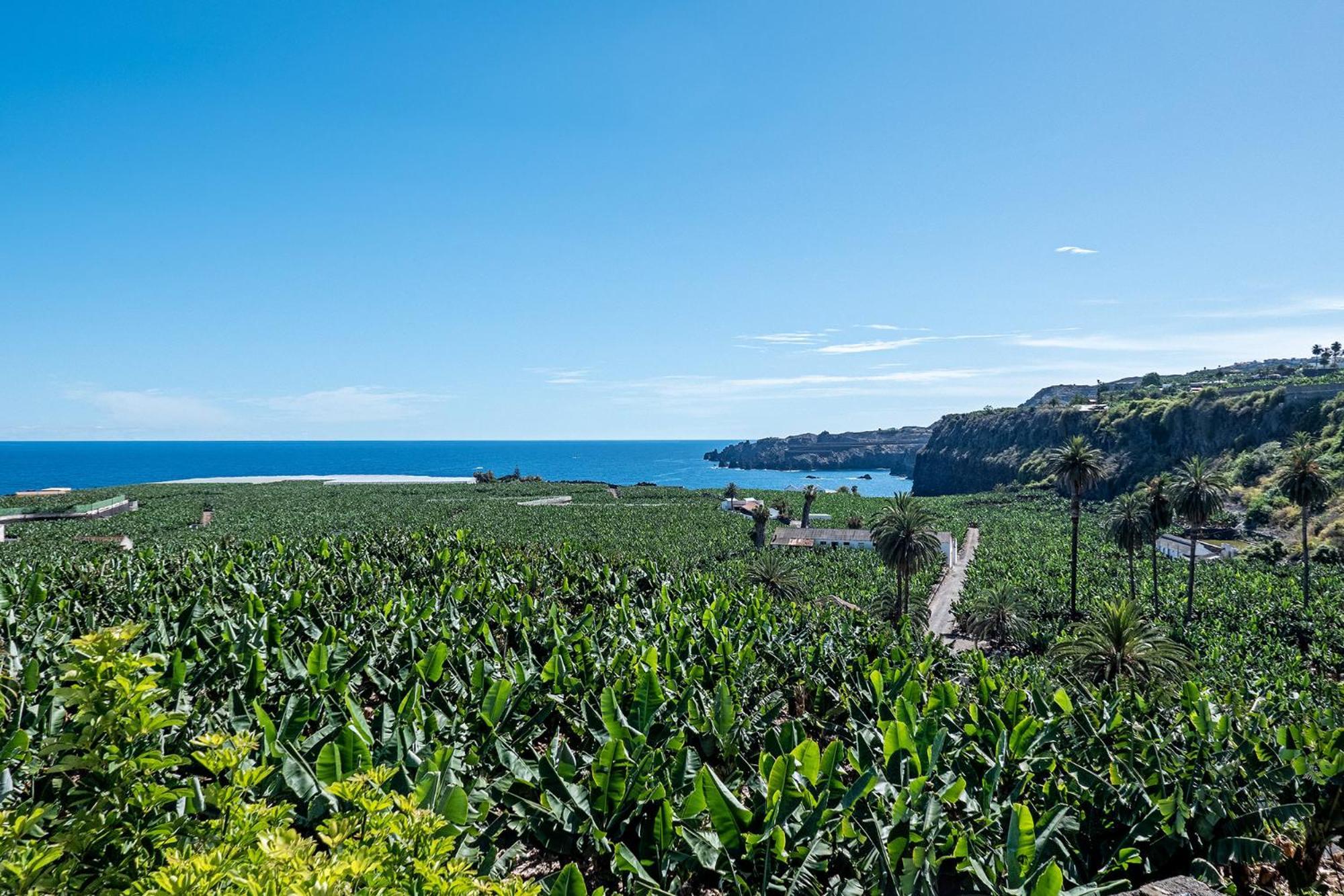 Appartamento Terrazas Malpais - El Guincho, Garachico Garachico  Esterno foto